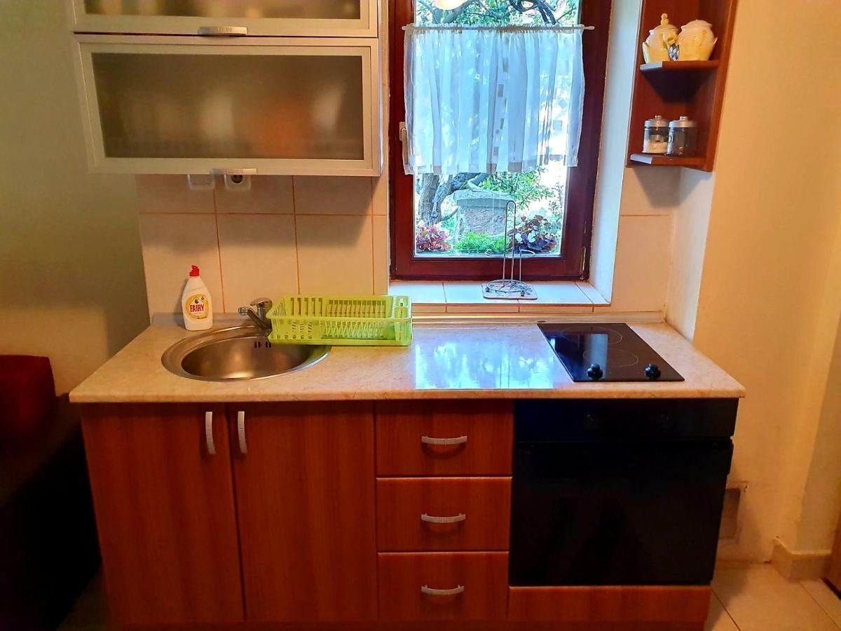 Apartmán Apartman Sergej 2 Soko Banja Exteriér fotografie